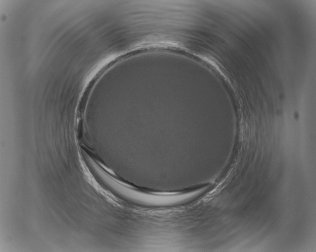 X0000056001038200509021659