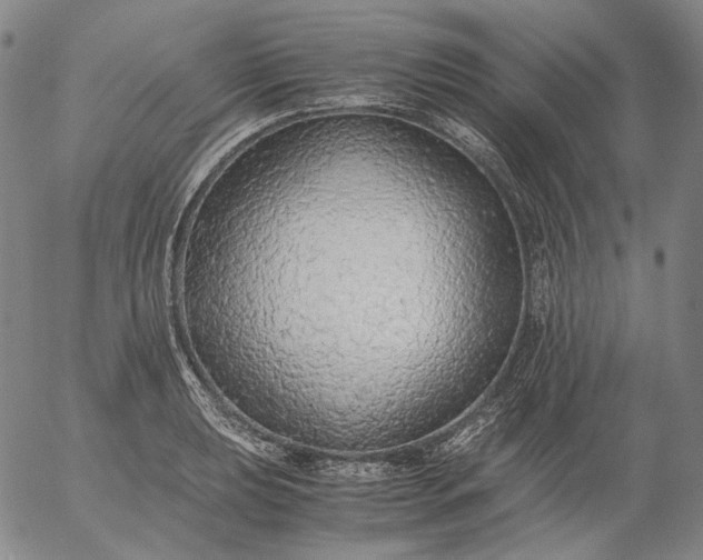 X0000056001039200509021659