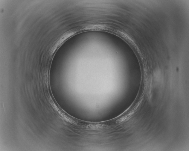 X0000056001041200509021659