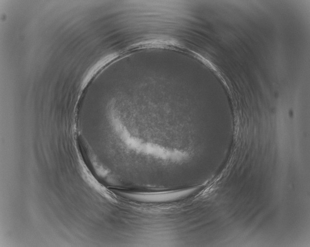 X0000056001042200509021659