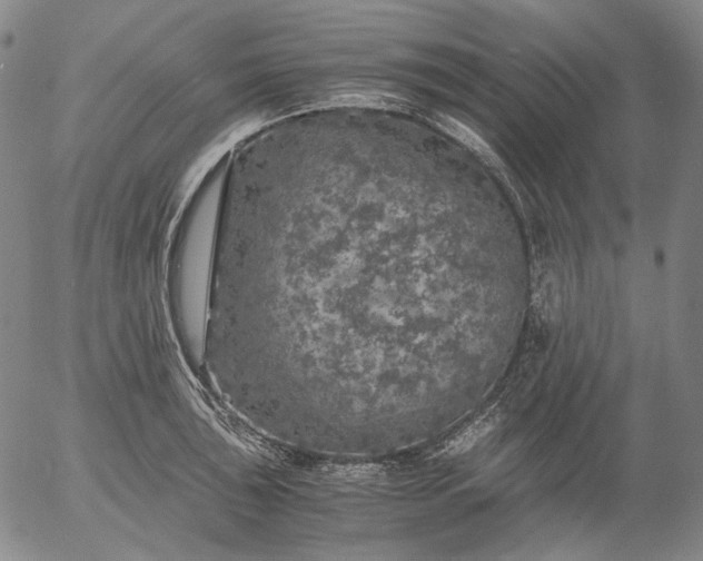 X0000056001043200509021659