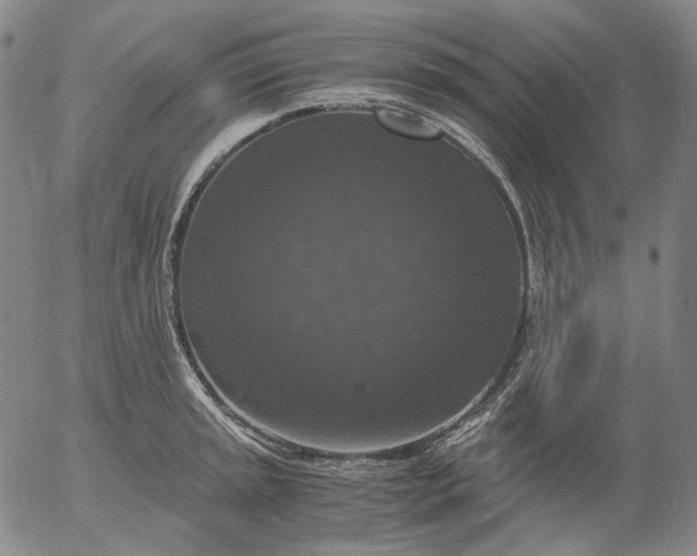 X0000056001045200509021659