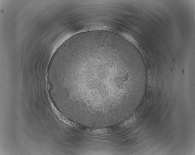 X0000056001047200509021659