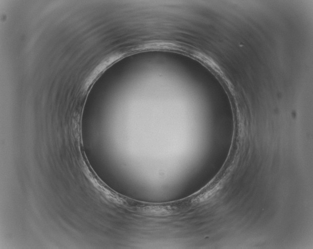 X0000056001049200509021659