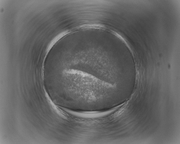 X0000056001050200509021659