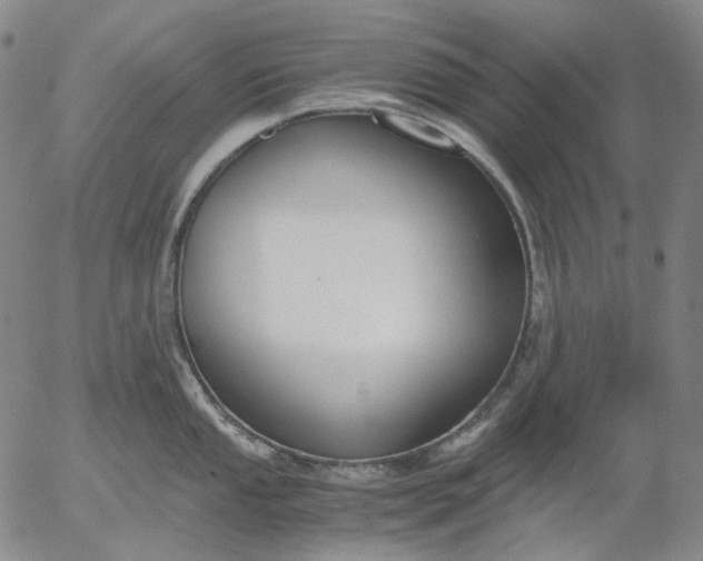 X0000056001053200509021659