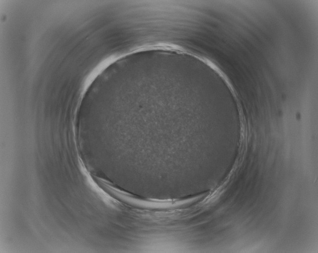 X0000056001054200509021659