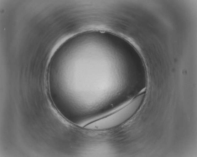 X0000056001056200509021659