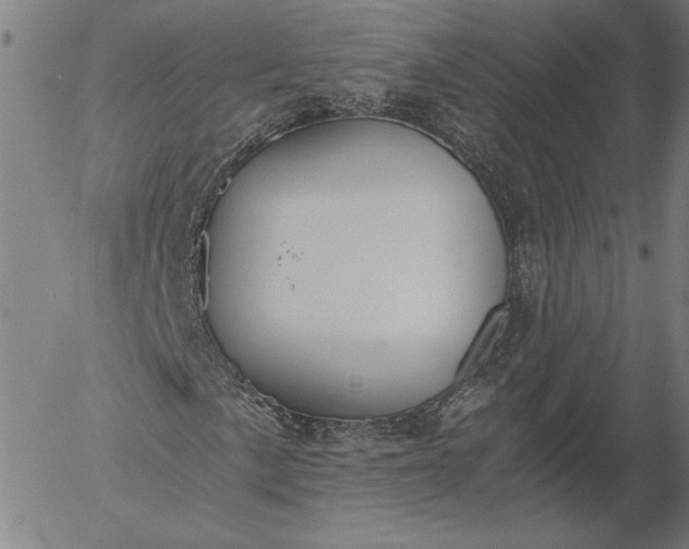 X0000056001057200509021658