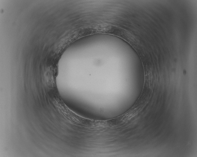 X0000056001058200509021658