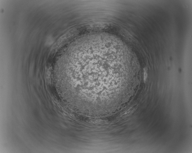 X0000056001059200509021658