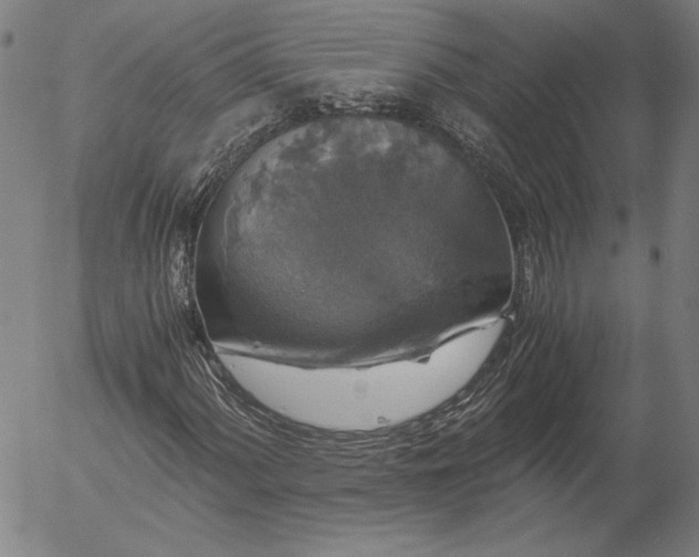 X0000056001060200509021658