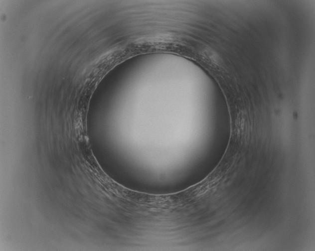 X0000056001062200509021658