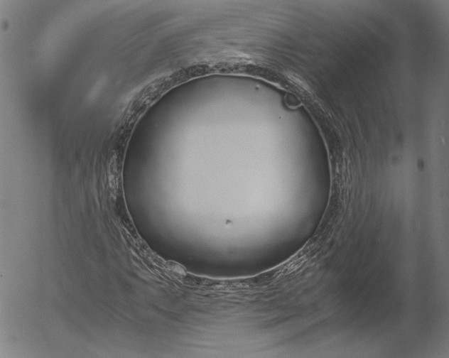 X0000056001063200509021658