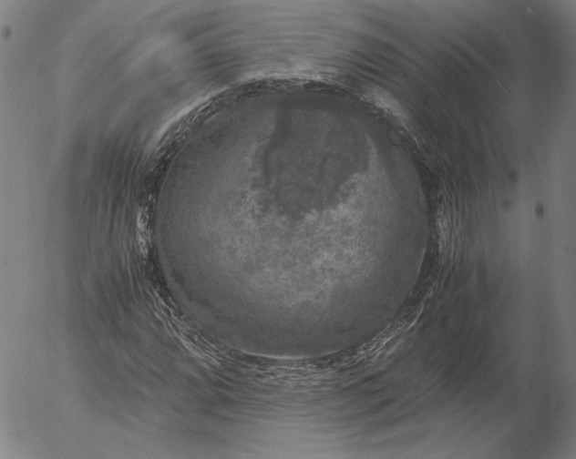 X0000056001064200509021658