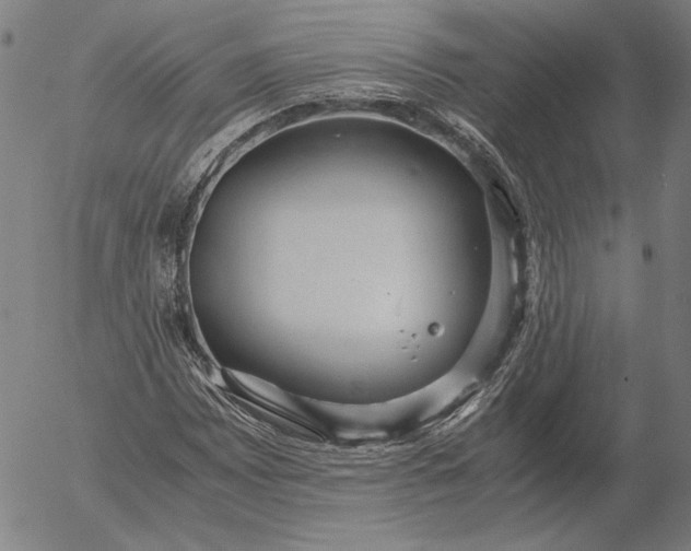 X0000056001065200509021658