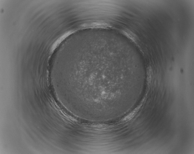 X0000056001066200509021658