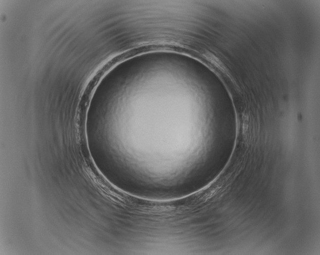 X0000056001068200509021658