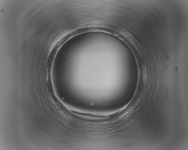 X0000056001069200509021658