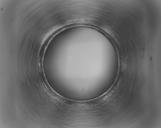 X0000056001070200509021658