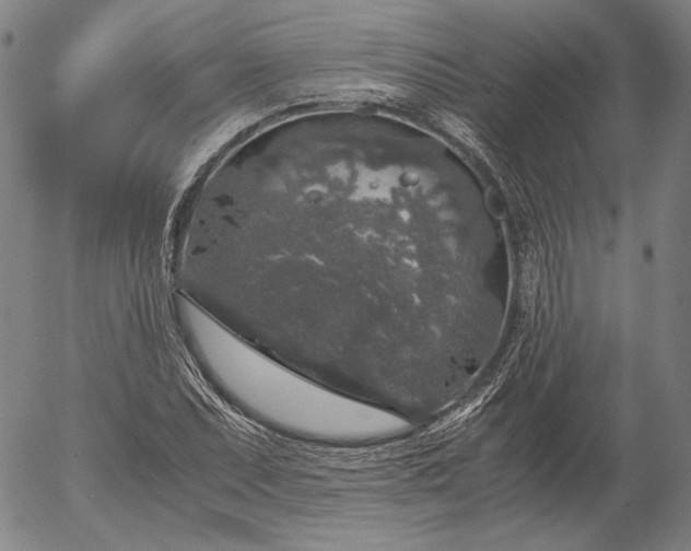 X0000056001071200509021658