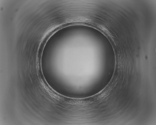 X0000056001072200509021658