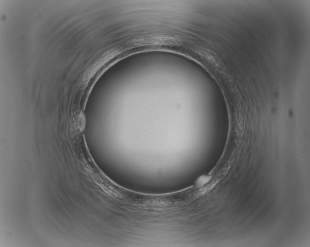 X0000056001073200509021658