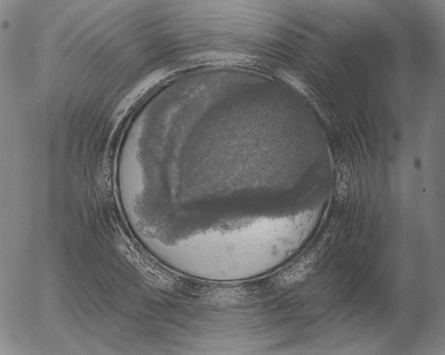 X0000056001074200509021658