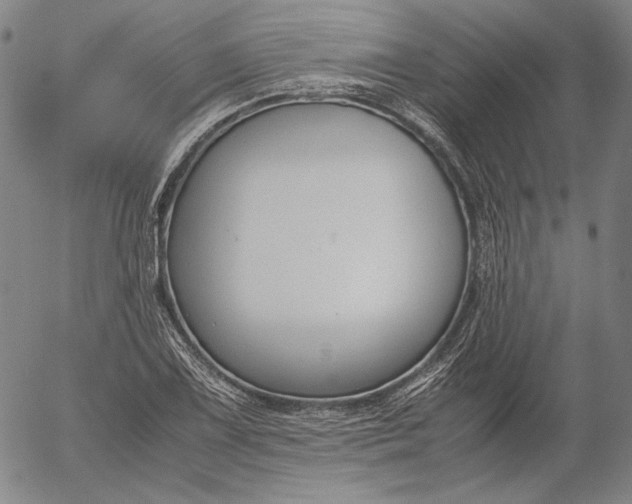 X0000056001075200509021658