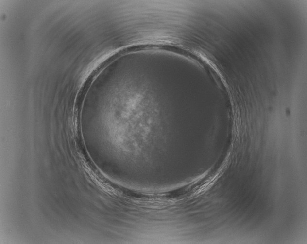 X0000056001077200509021658