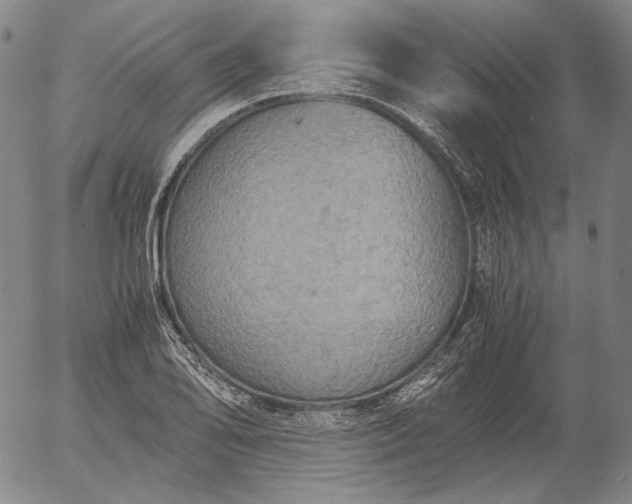 X0000056001078200509021658