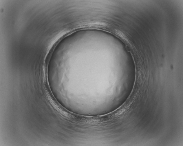 X0000056001079200509021658