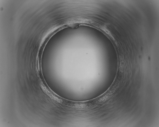 X0000056001080200509021658