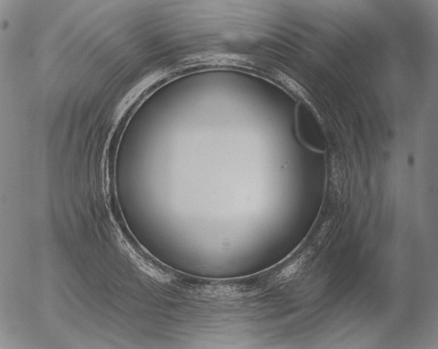 X0000056001082200509021658