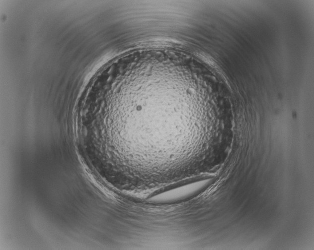 X0000056001083200509021658