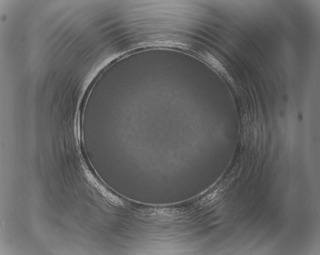 X0000056001084200509021658