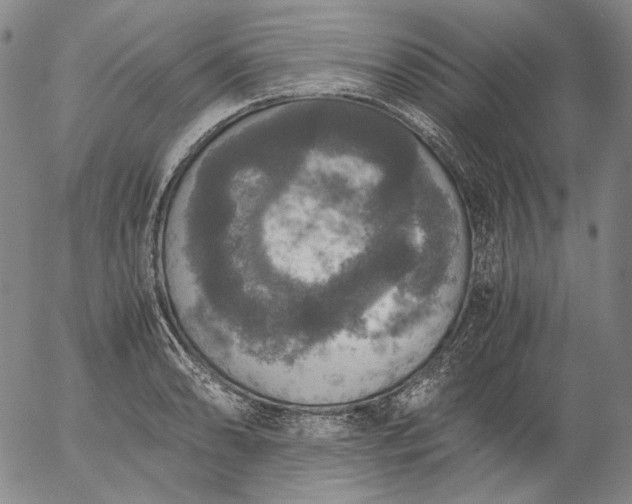 X0000056001086200509021658