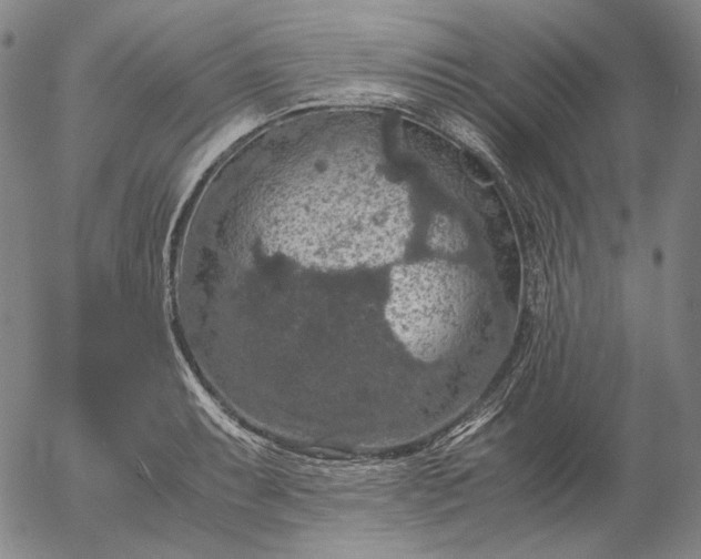 X0000056001087200509021658