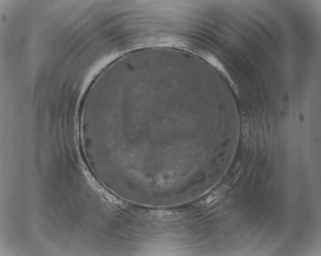 X0000056001088200509021658