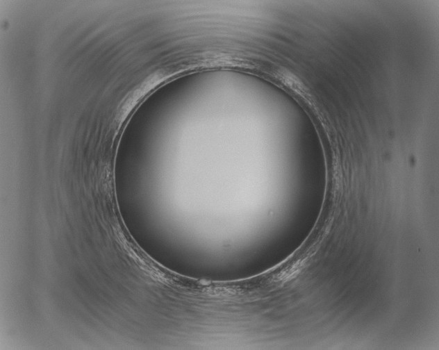 X0000056001089200509021658