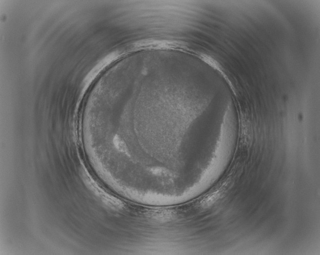 X0000056001090200509021658