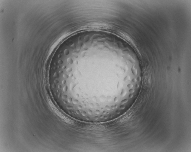 X0000056001091200509021658