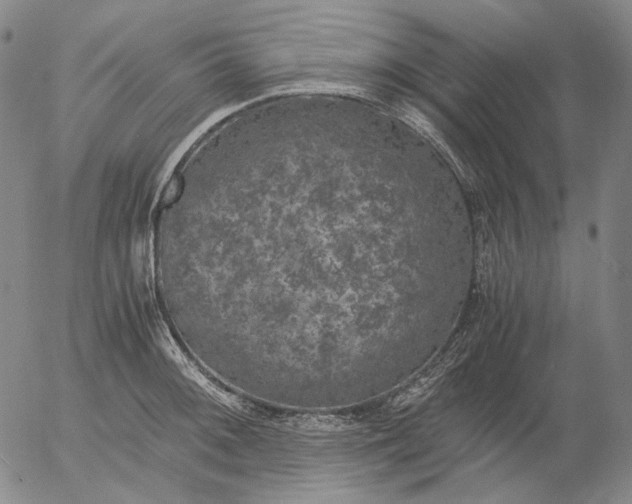 X0000056001092200509021658