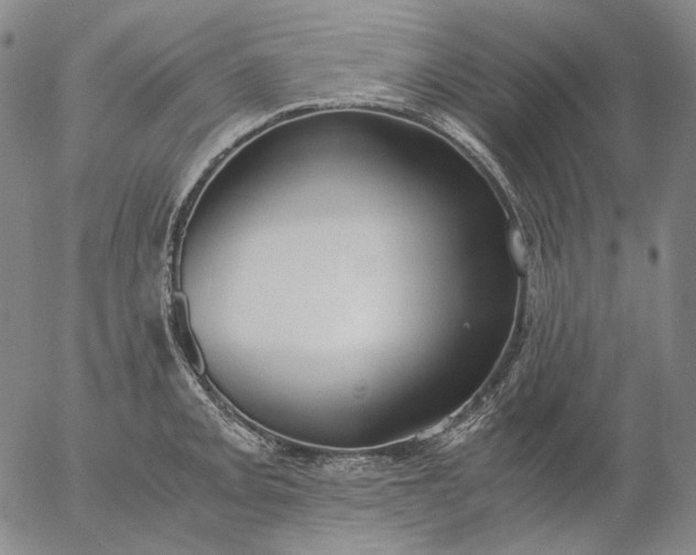 X0000056001093200509021658