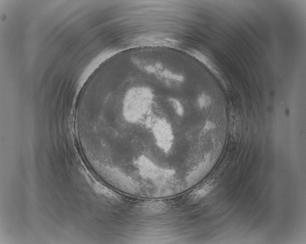 X0000056001094200509021658