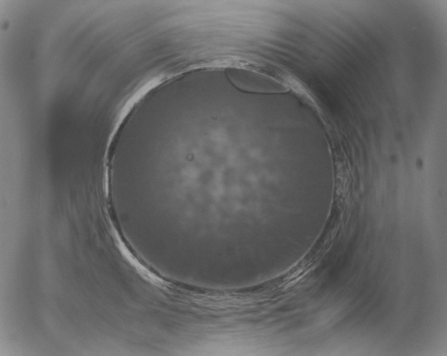 X0000056001095200509021658