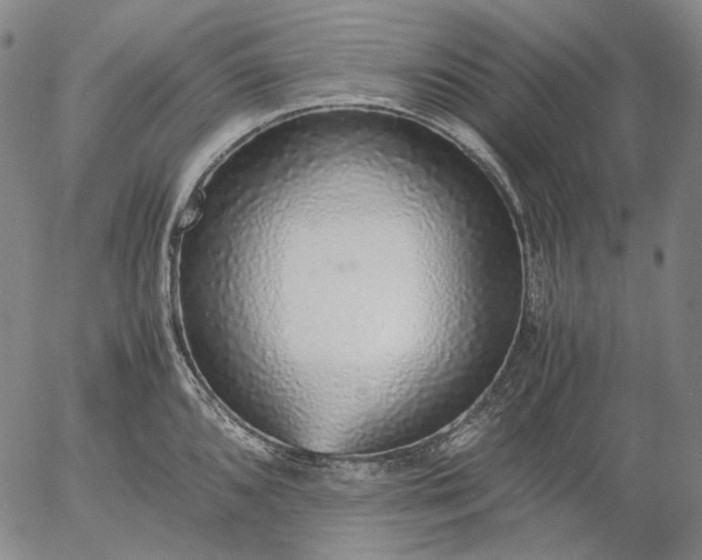 X0000056001096200509021657