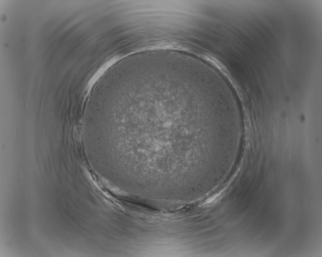 X0000056001097200509021657