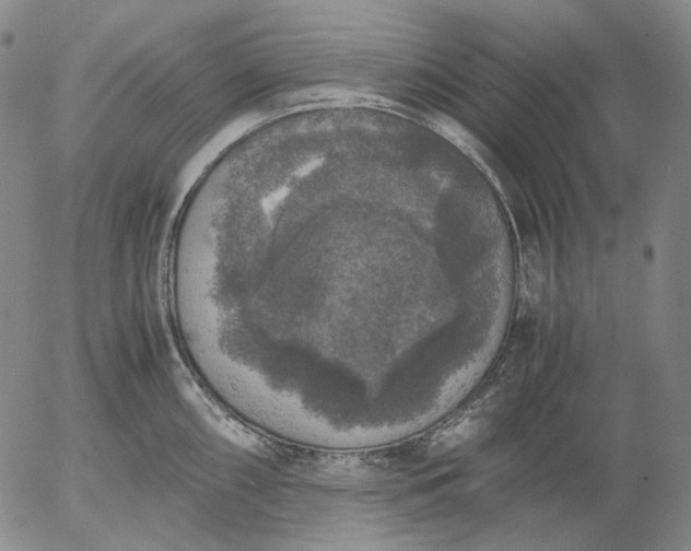 X0000056001098200509021657