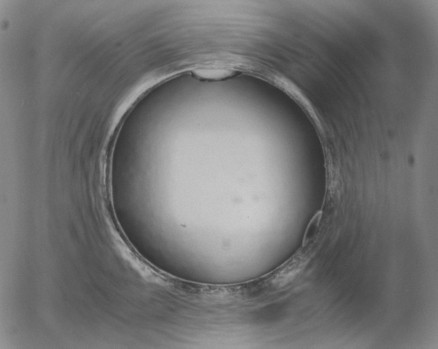 X0000056001099200509021657